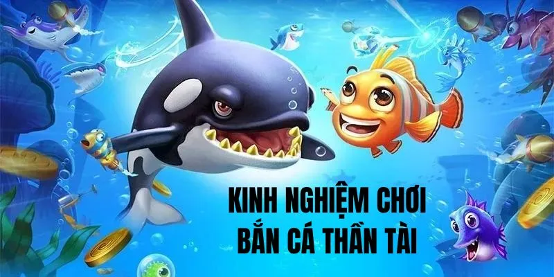 Kinh nghiệm tối ưu chiến thắng tham gia săn cá Thần Tài 