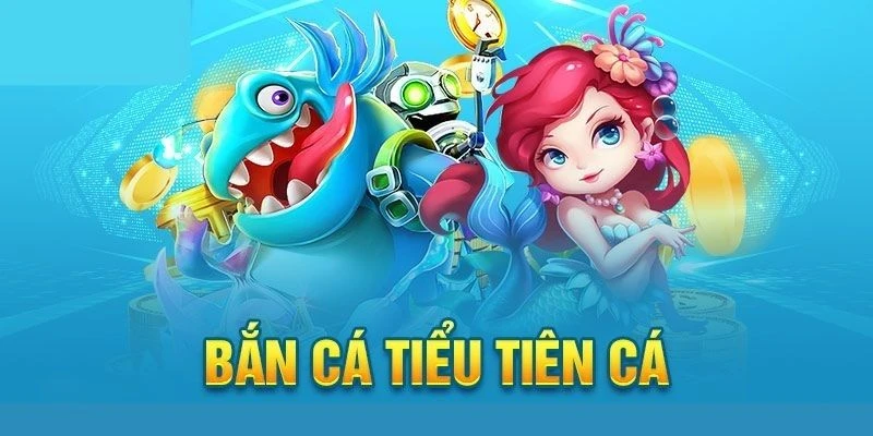 Một số thông tin cần biết về bắn cá tiểu tiên cá