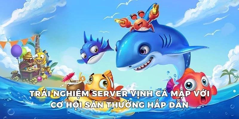 Trải nghiệm server vịnh cá mập với cơ hội săn thưởng hấp dẫn