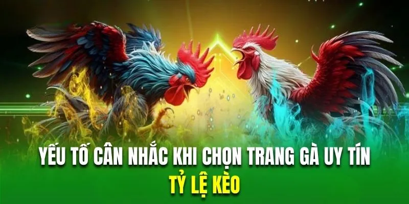 Trang gà uy tín sẽ đảm bảo cung cấp tỷ lệ kèo cược chất lượng